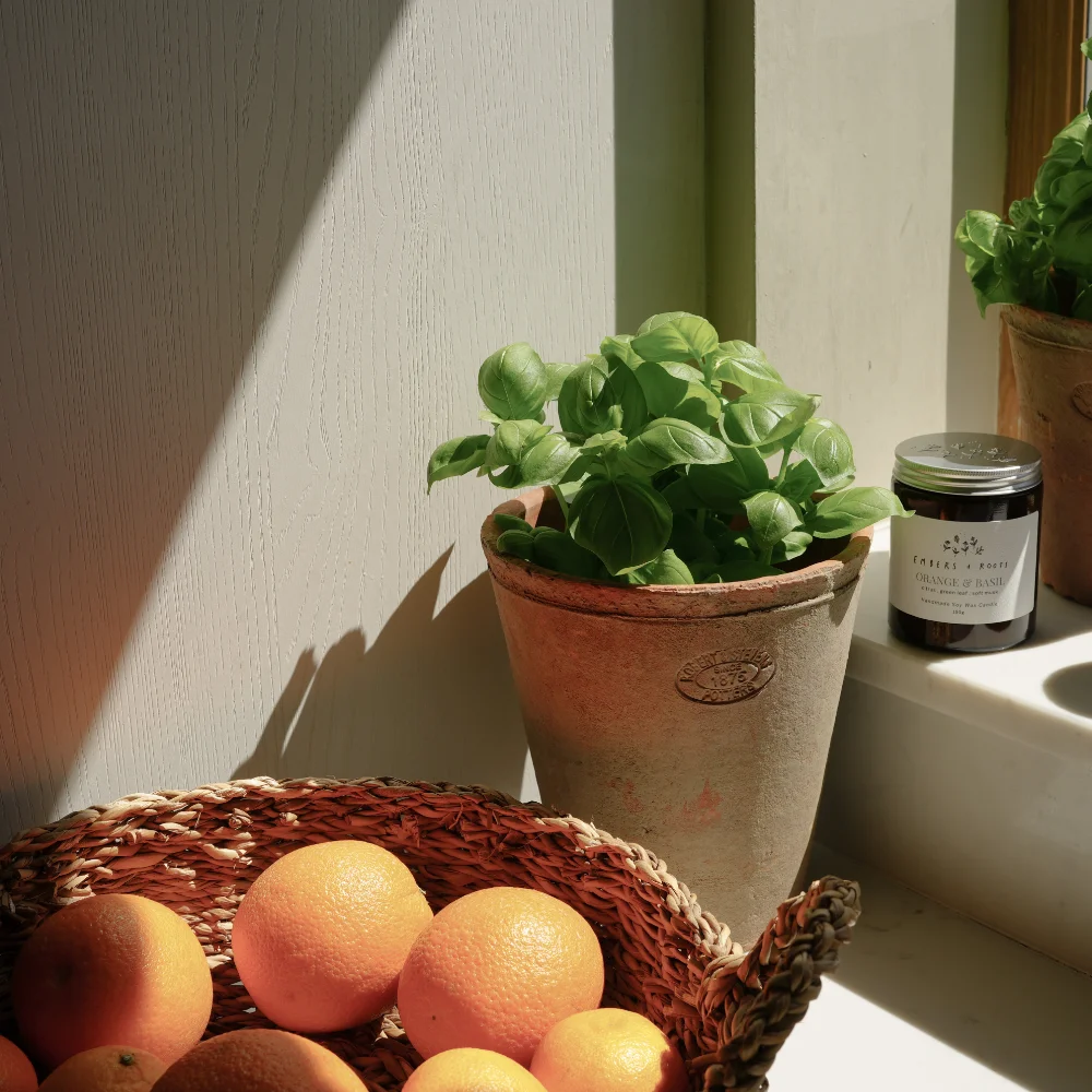 Orange & Basil - Image 2